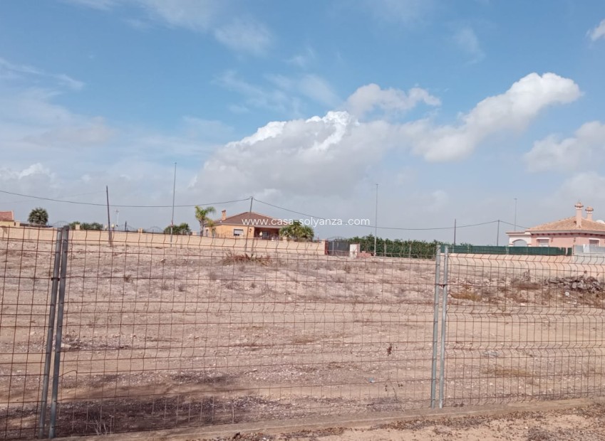 Wiederverkauf - Land - Los Montesinos - Costa Blanca