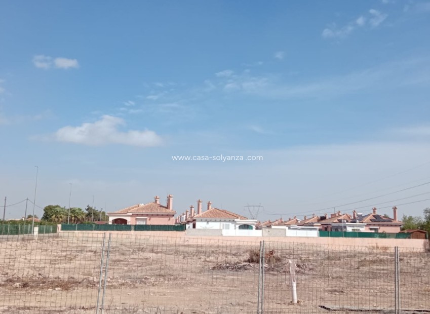 Wiederverkauf - Land - Los Montesinos - Costa Blanca