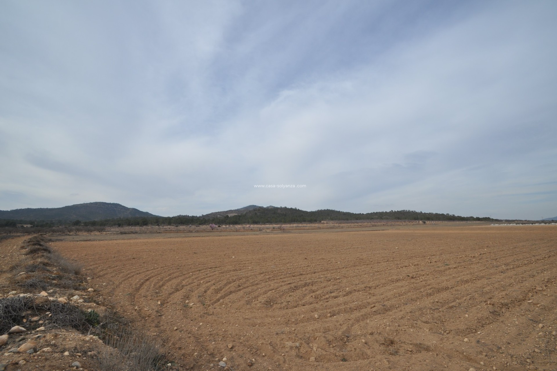 Wiederverkauf - Land - Monóvar - Inland