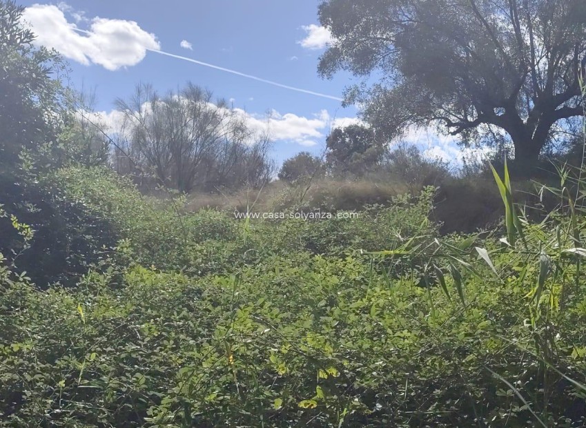 Wiederverkauf - Land - Moratalla