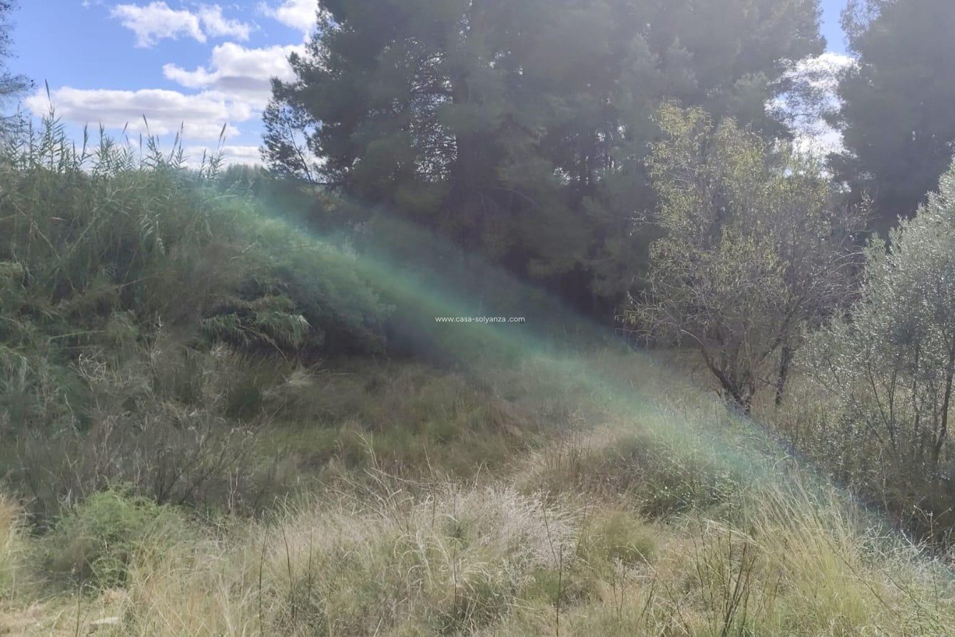 Wiederverkauf - Land - Moratalla