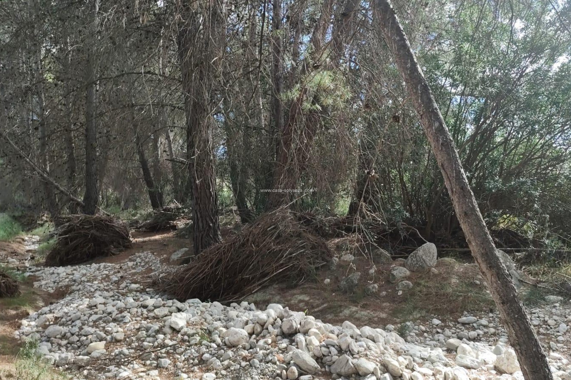 Wiederverkauf - Land - Moratalla