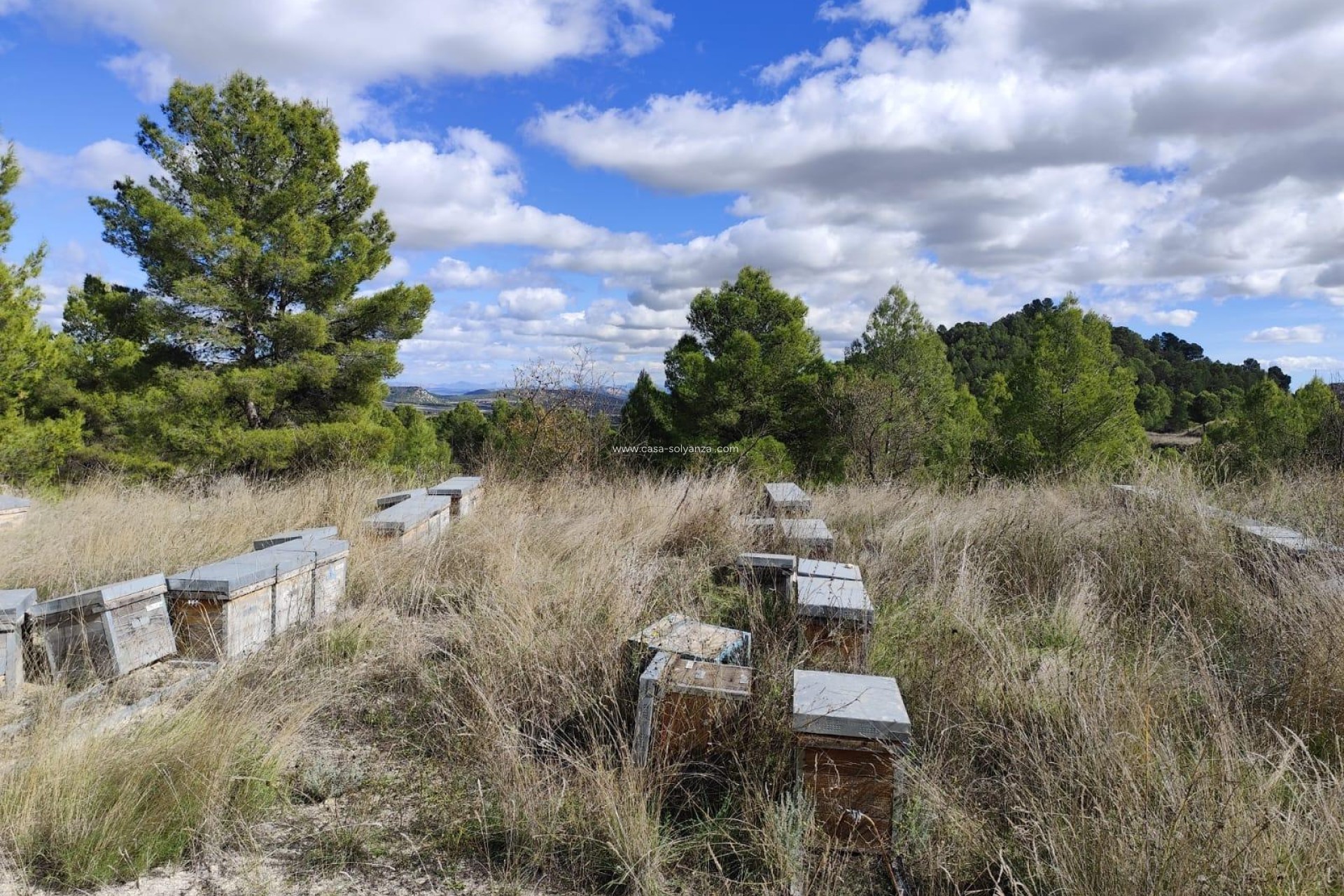 Wiederverkauf - Land - Moratalla