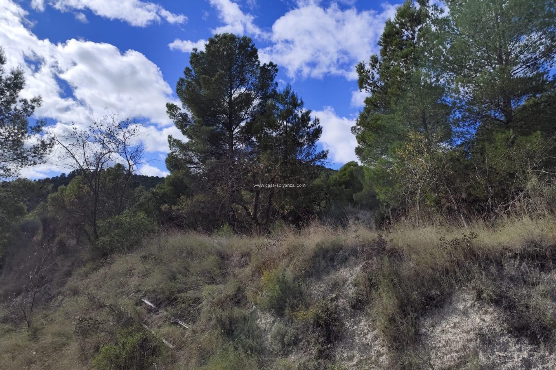 Wiederverkauf - Land - Moratalla