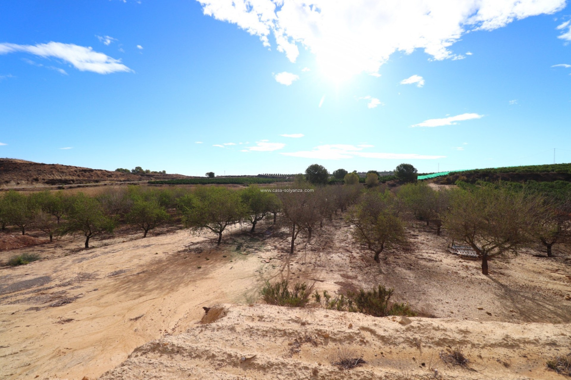 Wiederverkauf - Land - Orihuela - Torremendo