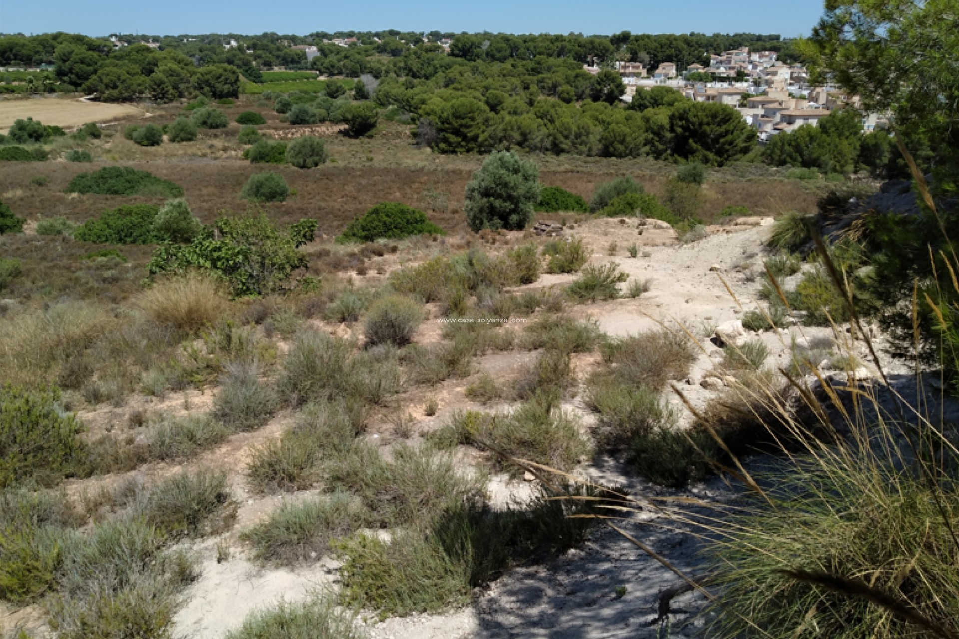 Wiederverkauf - Land - Pinar de Campoverde
