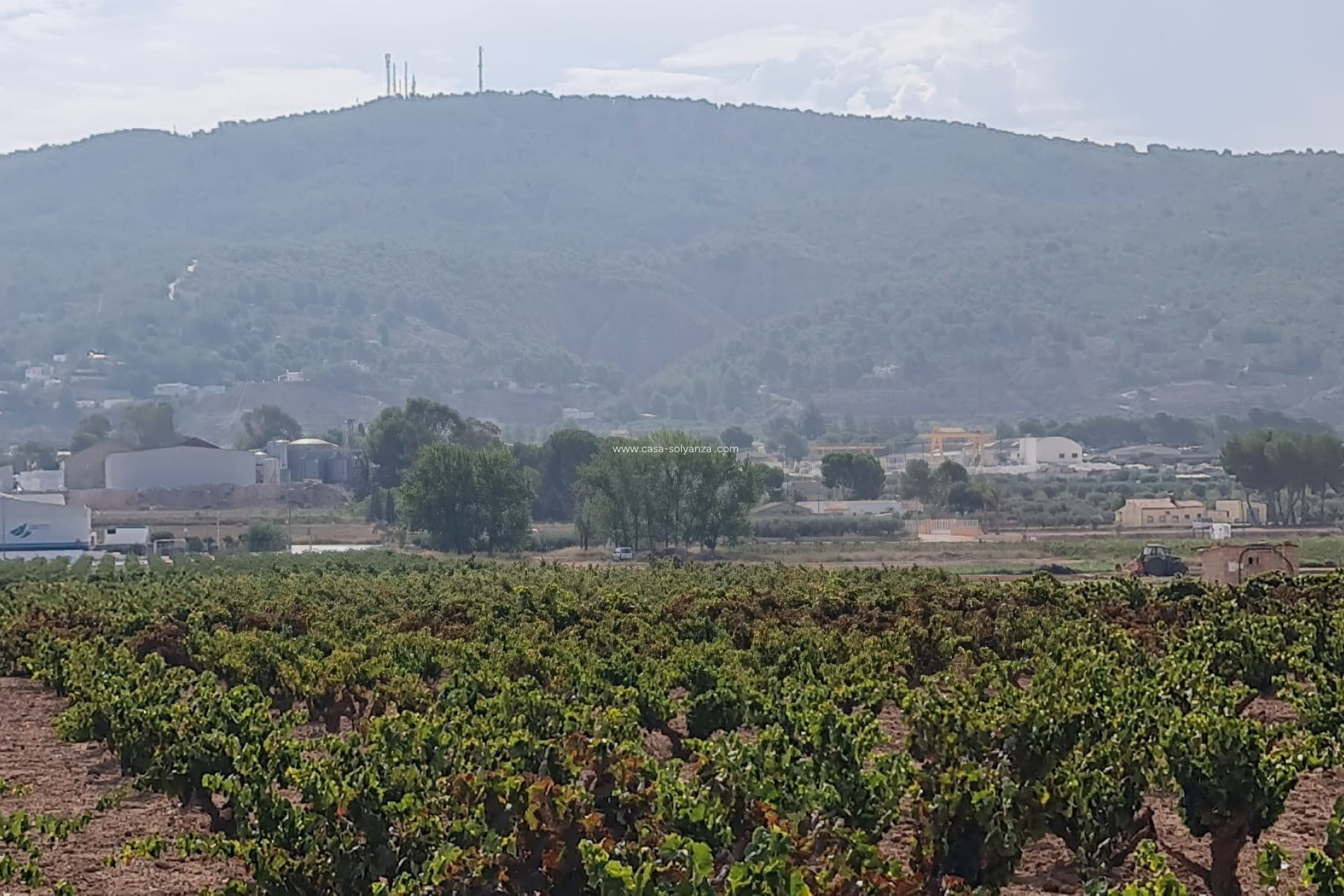 Wiederverkauf - Land - Pinoso - Inland