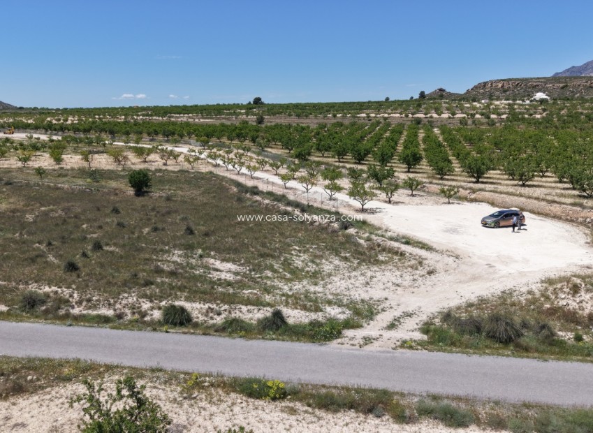 Wiederverkauf - Land - Pinoso - Inland