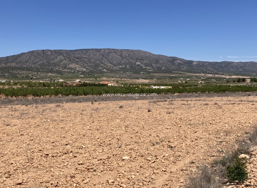 Wiederverkauf - Land - Pinoso - Lel