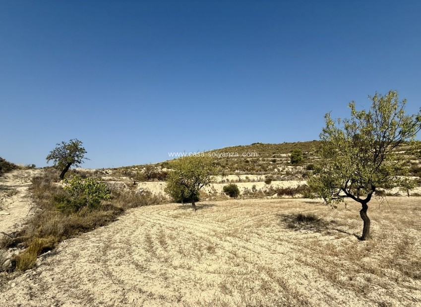 Wiederverkauf - Land - Relleu - Costa Blanca