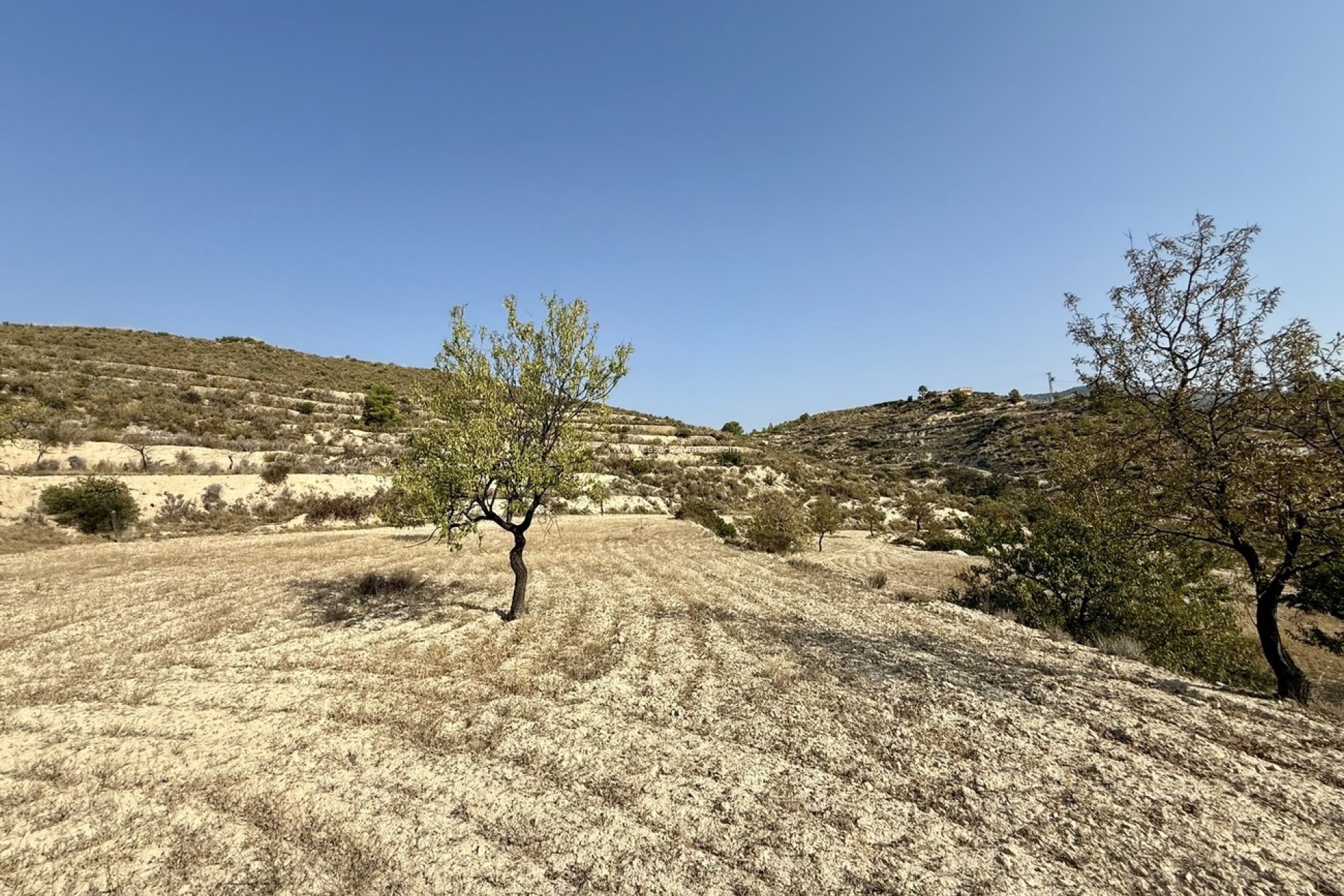 Wiederverkauf - Land - Relleu - Costa Blanca