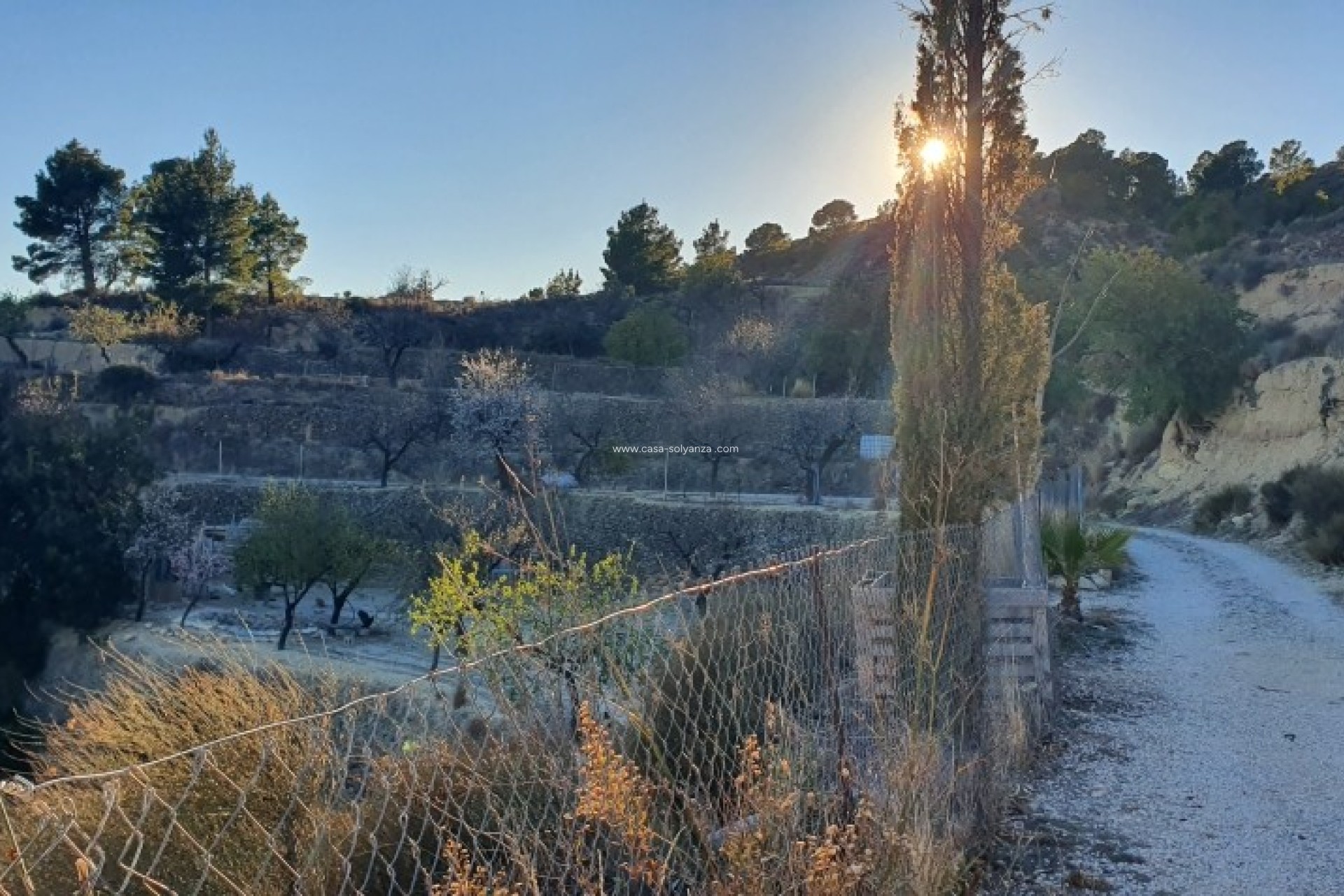 Wiederverkauf - Land - Relleu - Inland