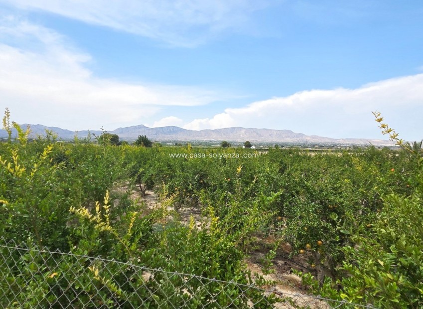 Wiederverkauf - Land - San Isidro