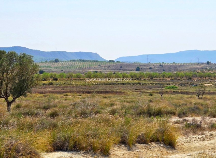 Wiederverkauf - Land - San Miguel de Salinas