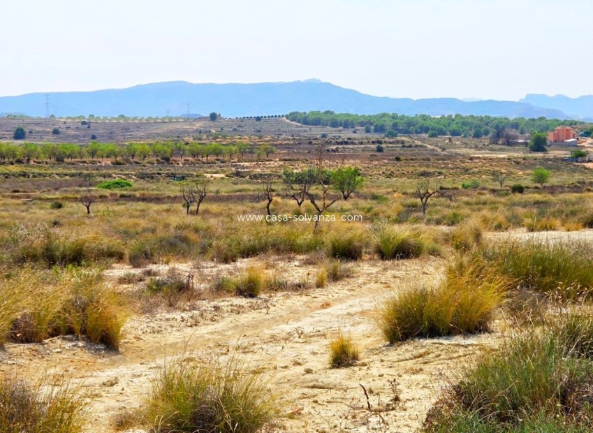 Wiederverkauf - Land - San Miguel de Salinas