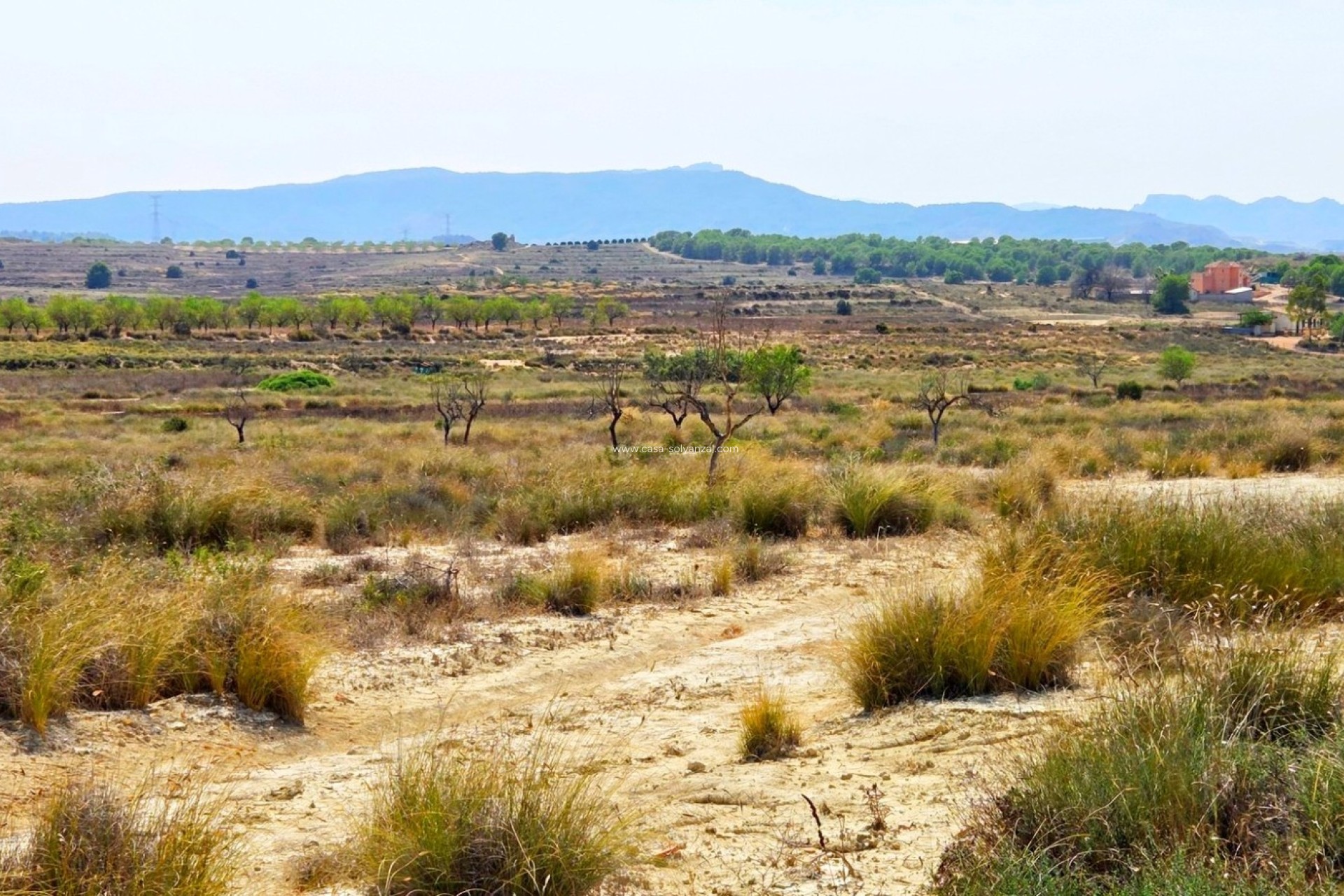 Wiederverkauf - Land - San Miguel de Salinas