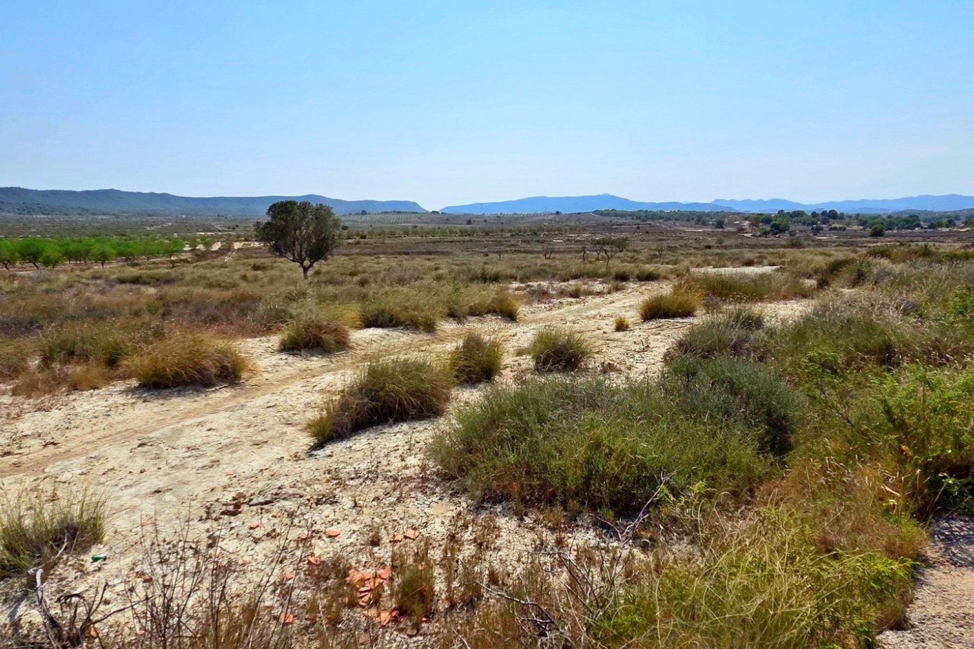 Wiederverkauf - Land - San Miguel de Salinas