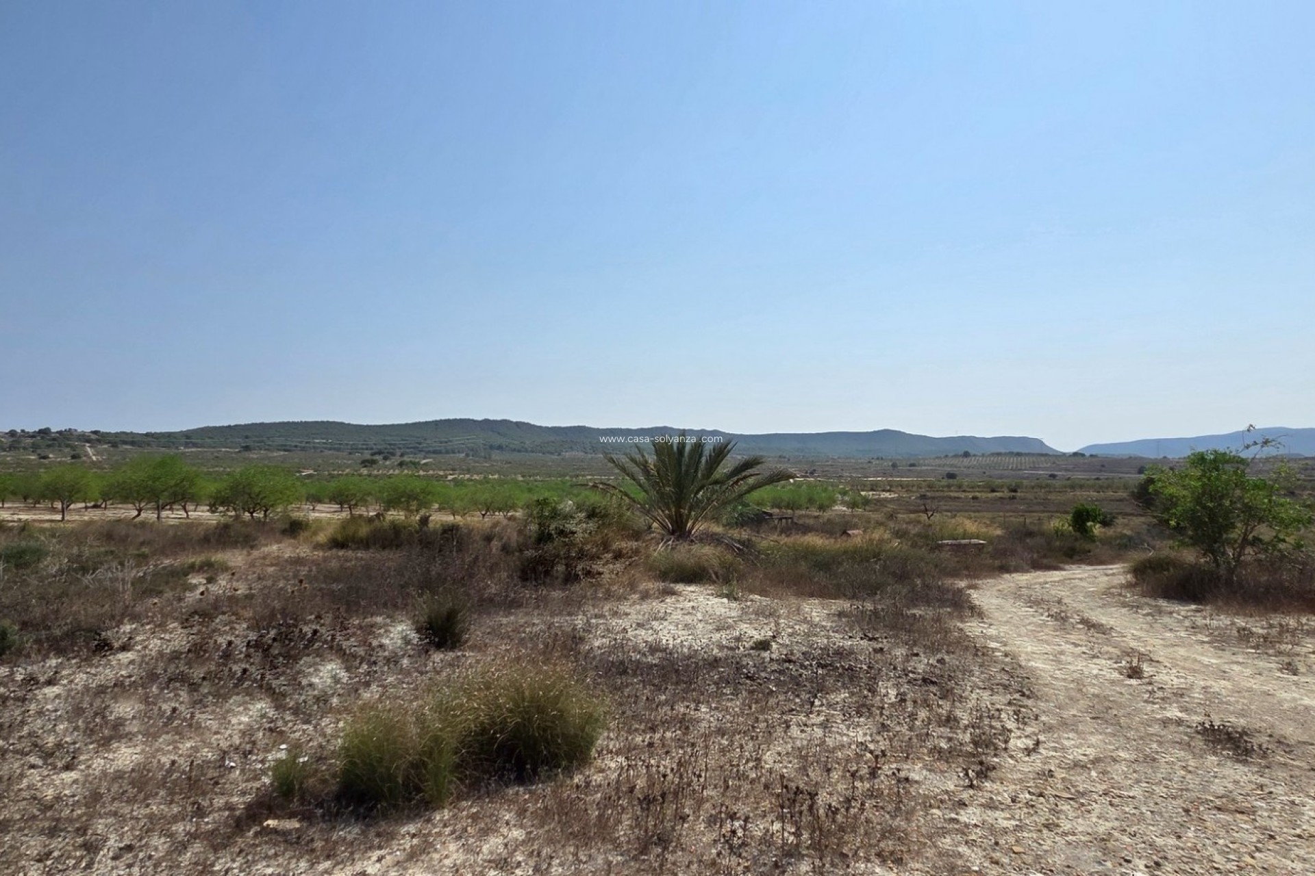 Wiederverkauf - Land - San Miguel de Salinas