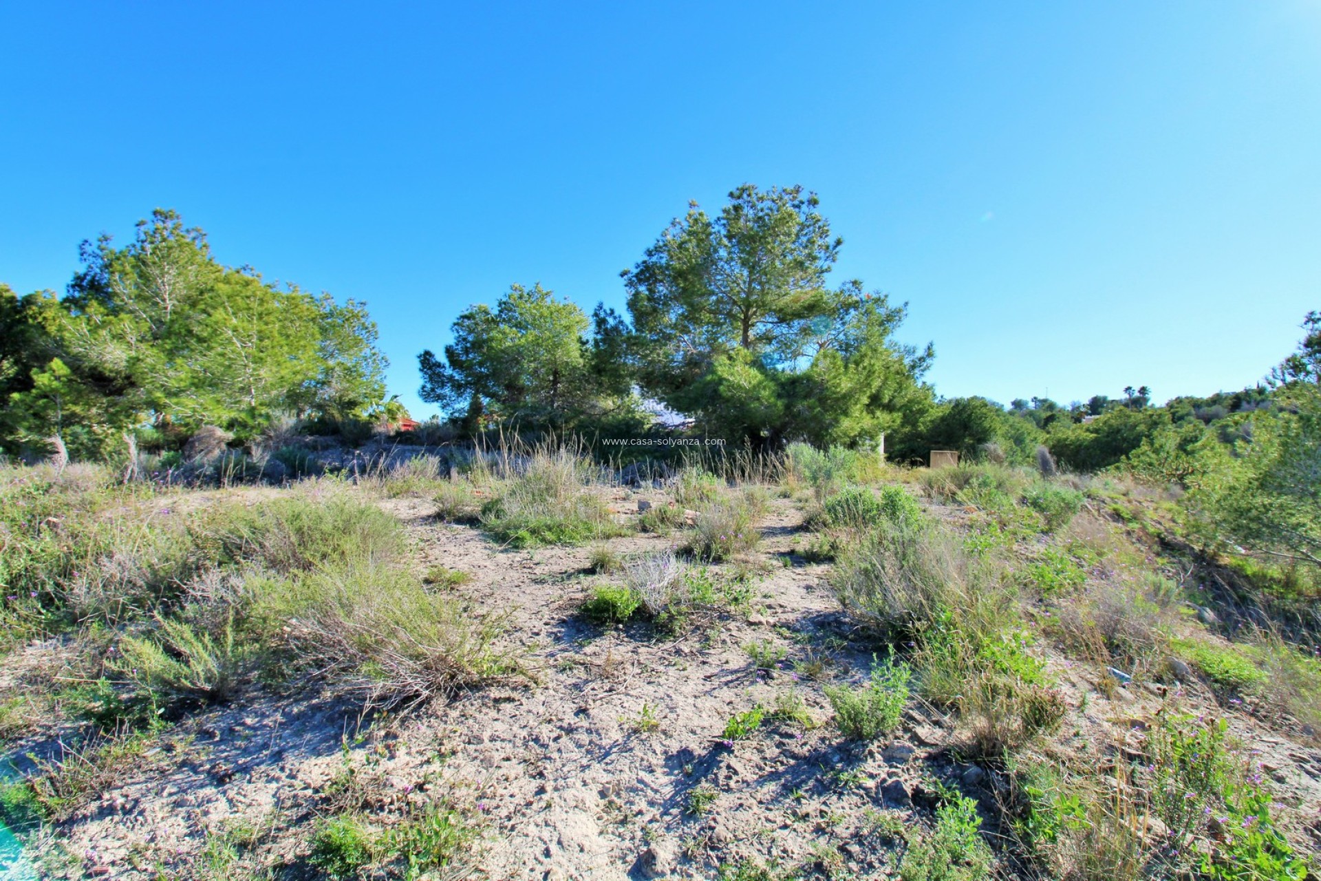 Wiederverkauf - Land - San Miguel de Salinas