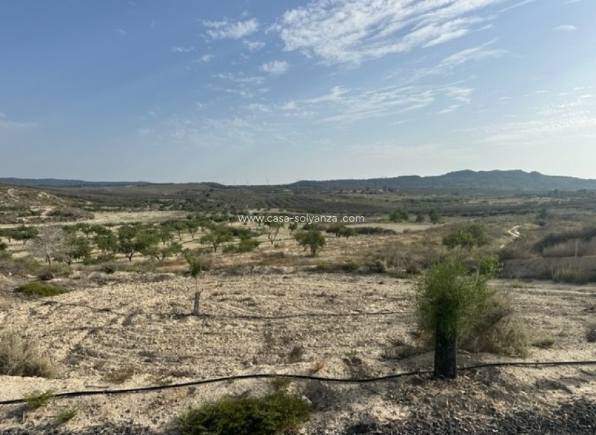 Wiederverkauf - Land - Torremendo - Costa Blanca