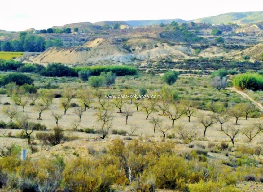 Wiederverkauf - Land - Torremendo