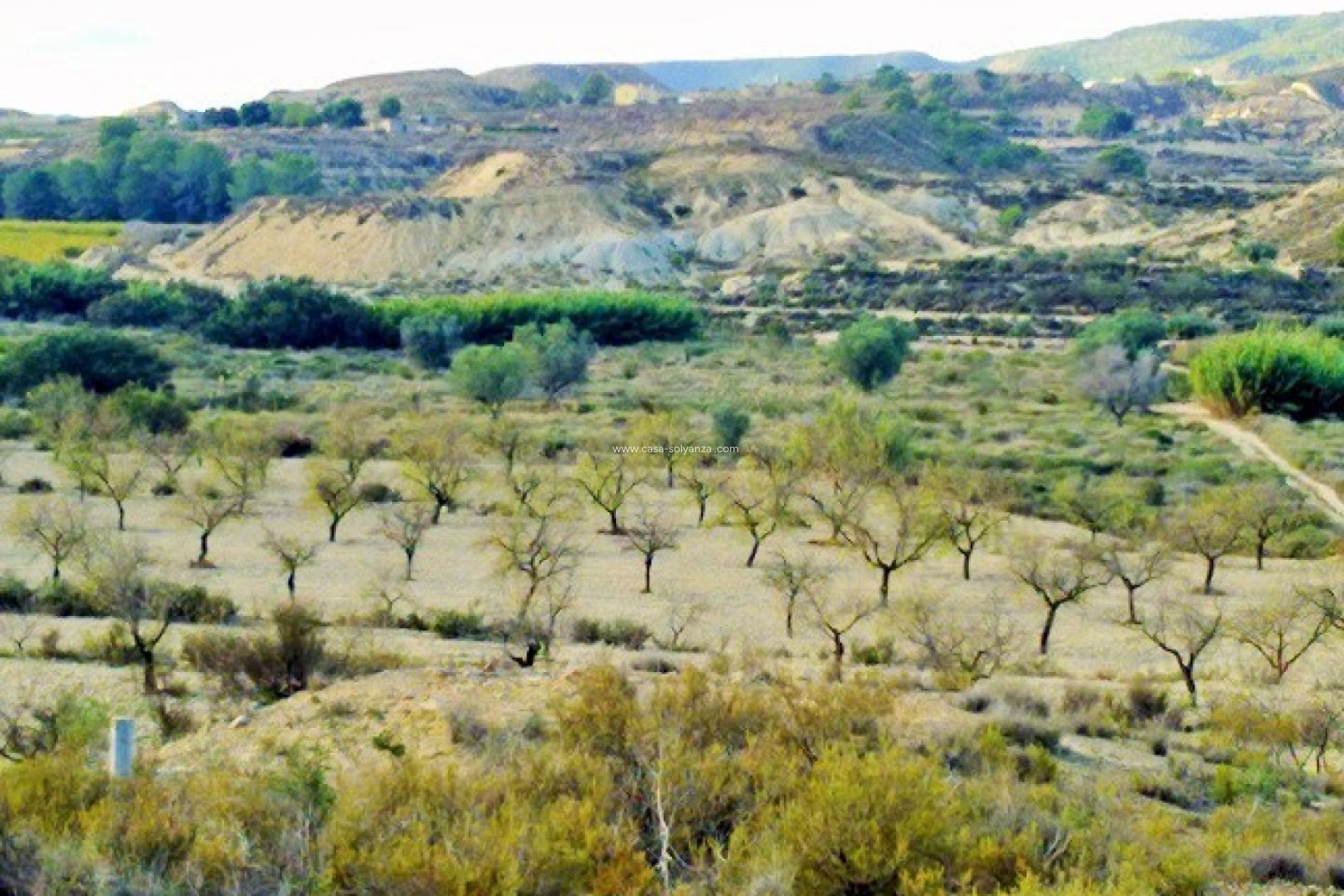 Wiederverkauf - Land - Torremendo