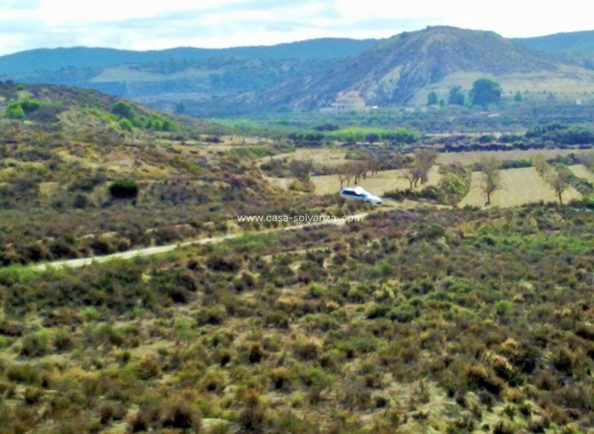 Wiederverkauf - Land - Torremendo