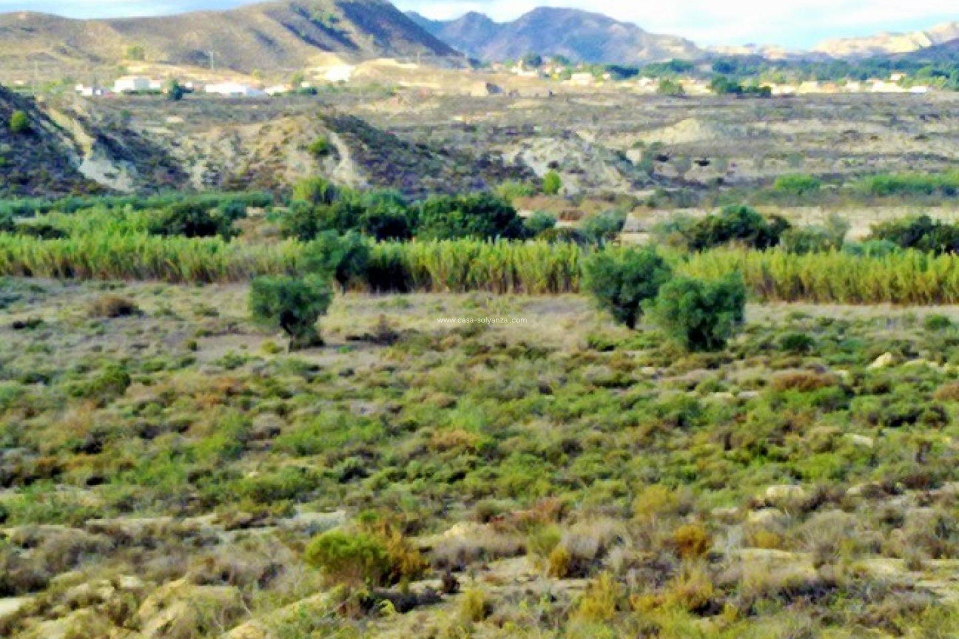 Wiederverkauf - Land - Torremendo