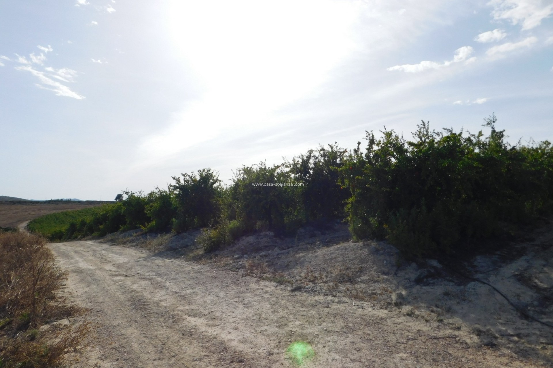 Wiederverkauf - Land - Torremendo