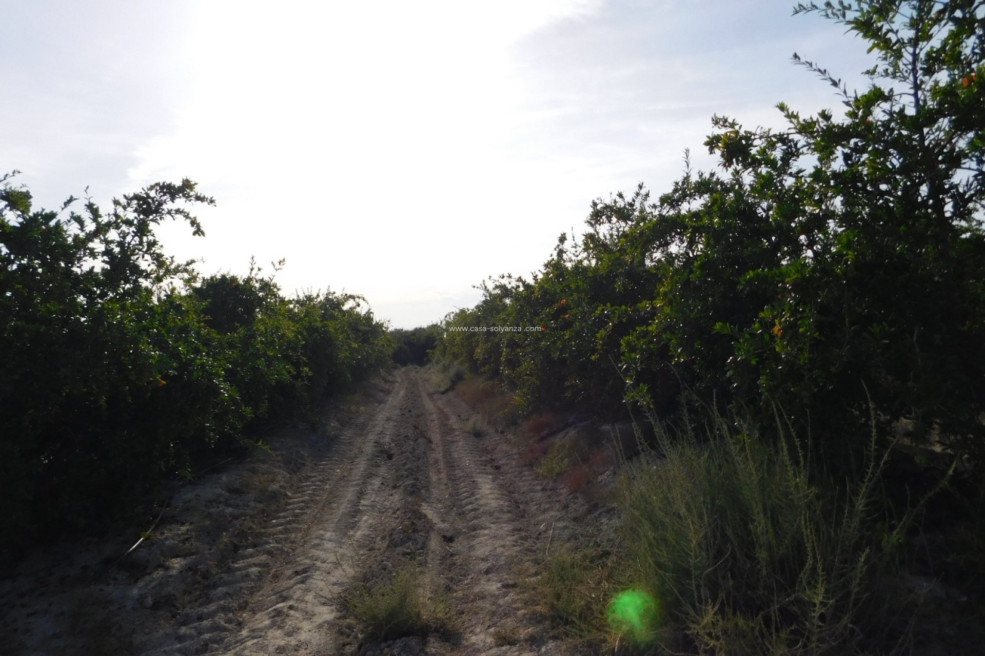 Wiederverkauf - Land - Torremendo