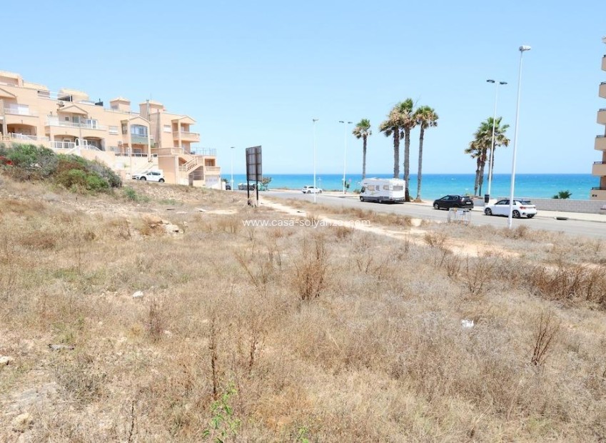 Wiederverkauf - Land - Torrevieja - Costa Blanca