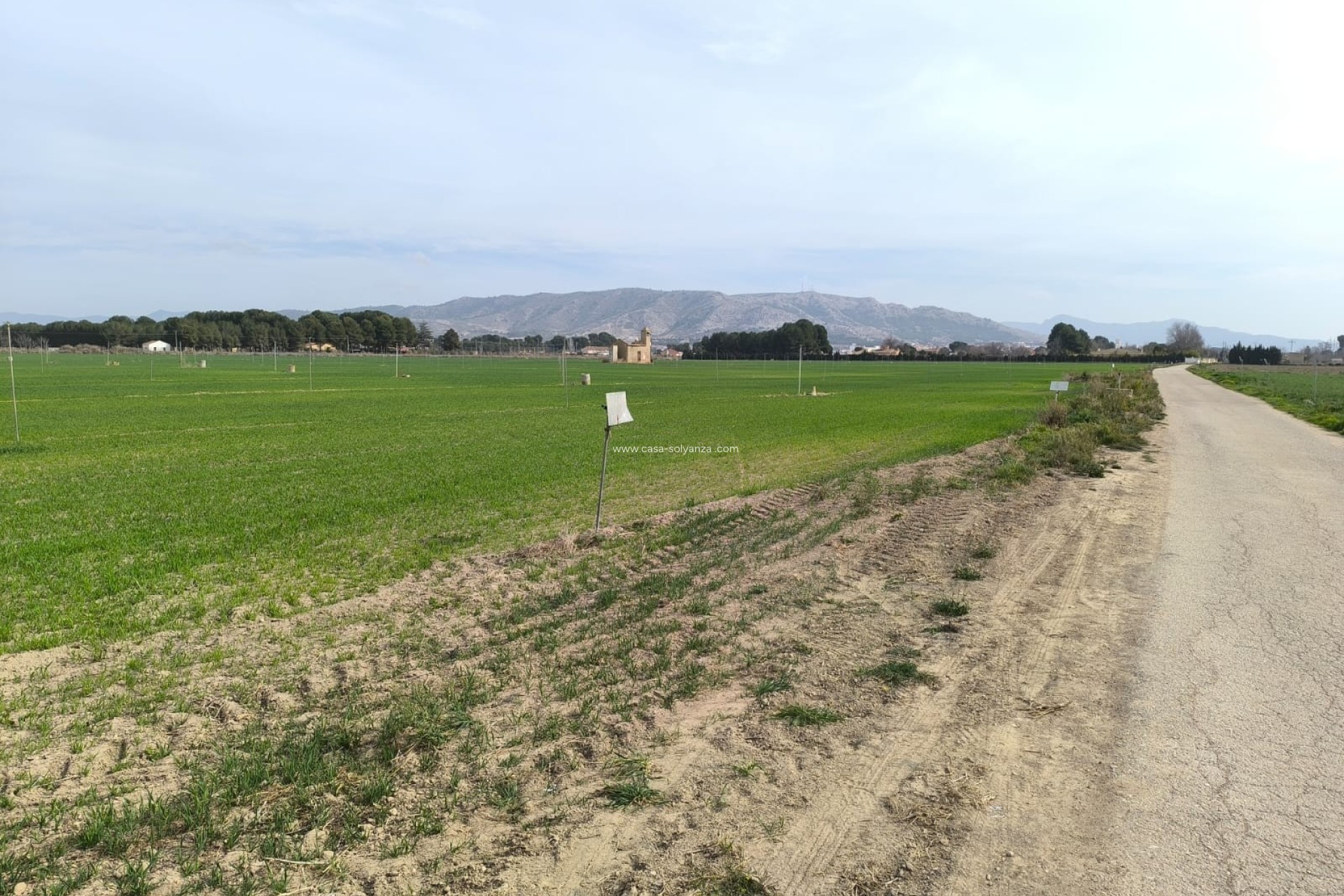 Wiederverkauf - Land - Villena - Inland