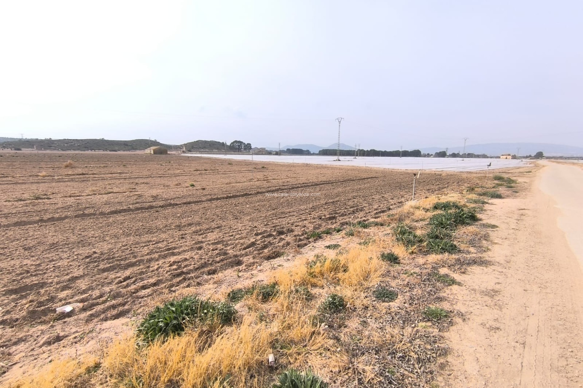 Wiederverkauf - Land - Villena - Inland
