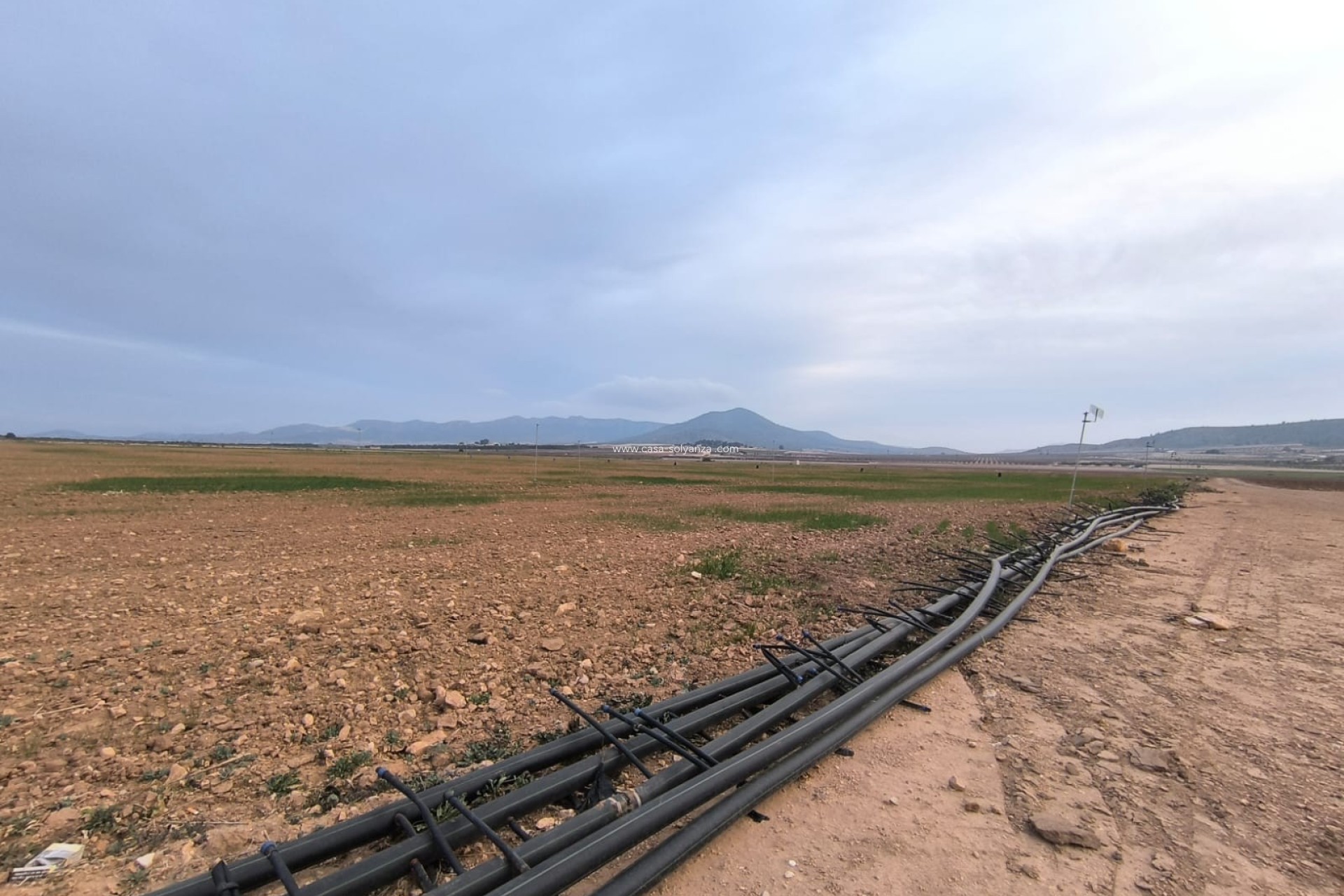 Wiederverkauf - Land - Yecla - Inland