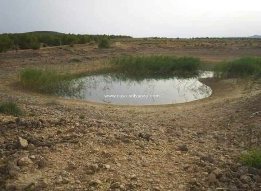 Wiederverkauf - Land - Yecla - Inland