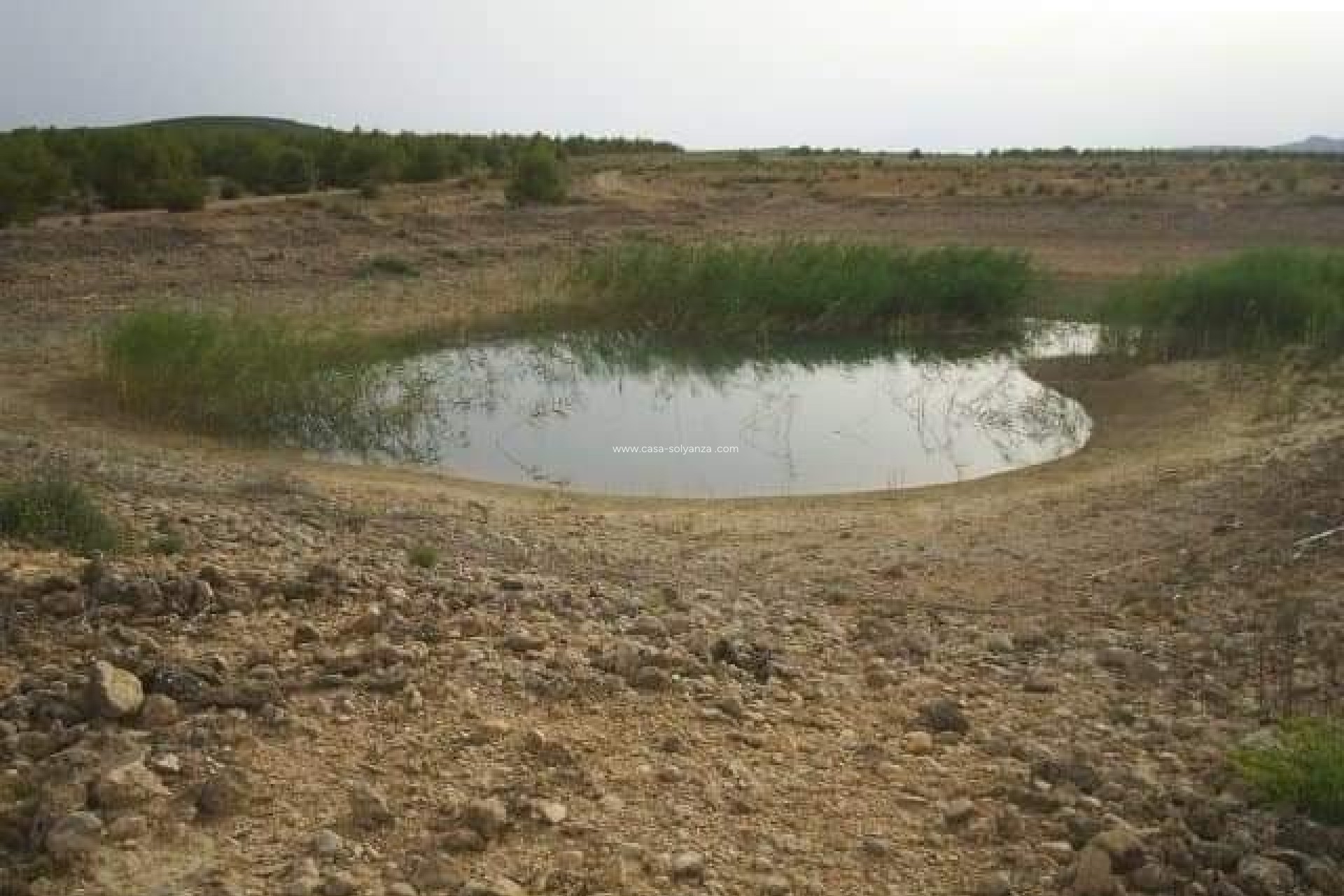 Wiederverkauf - Land - Yecla - Inland