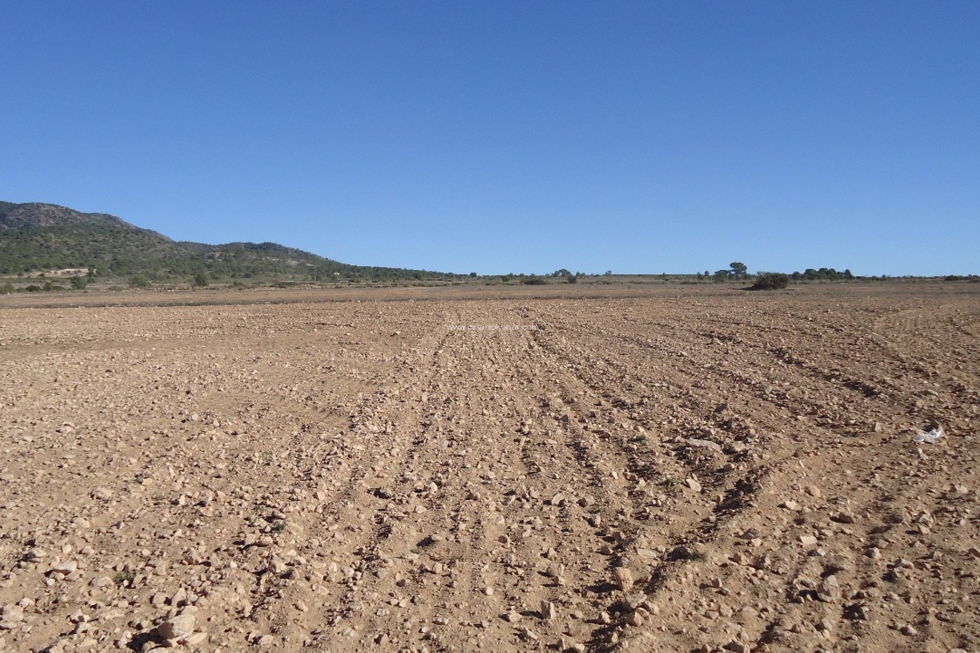 Wiederverkauf - Land - Yecla - Inland