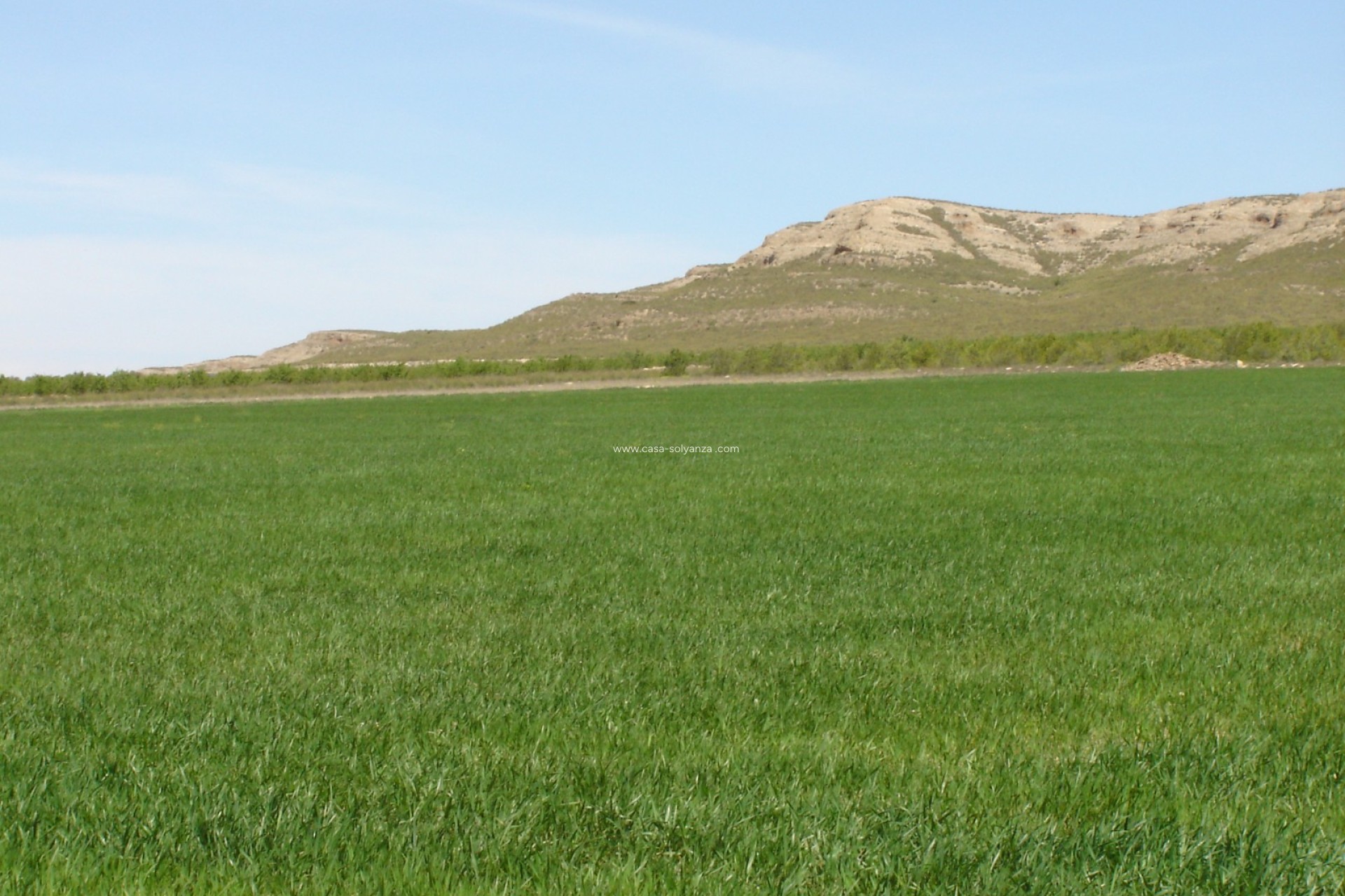 Wiederverkauf - Land - Yecla - Inland