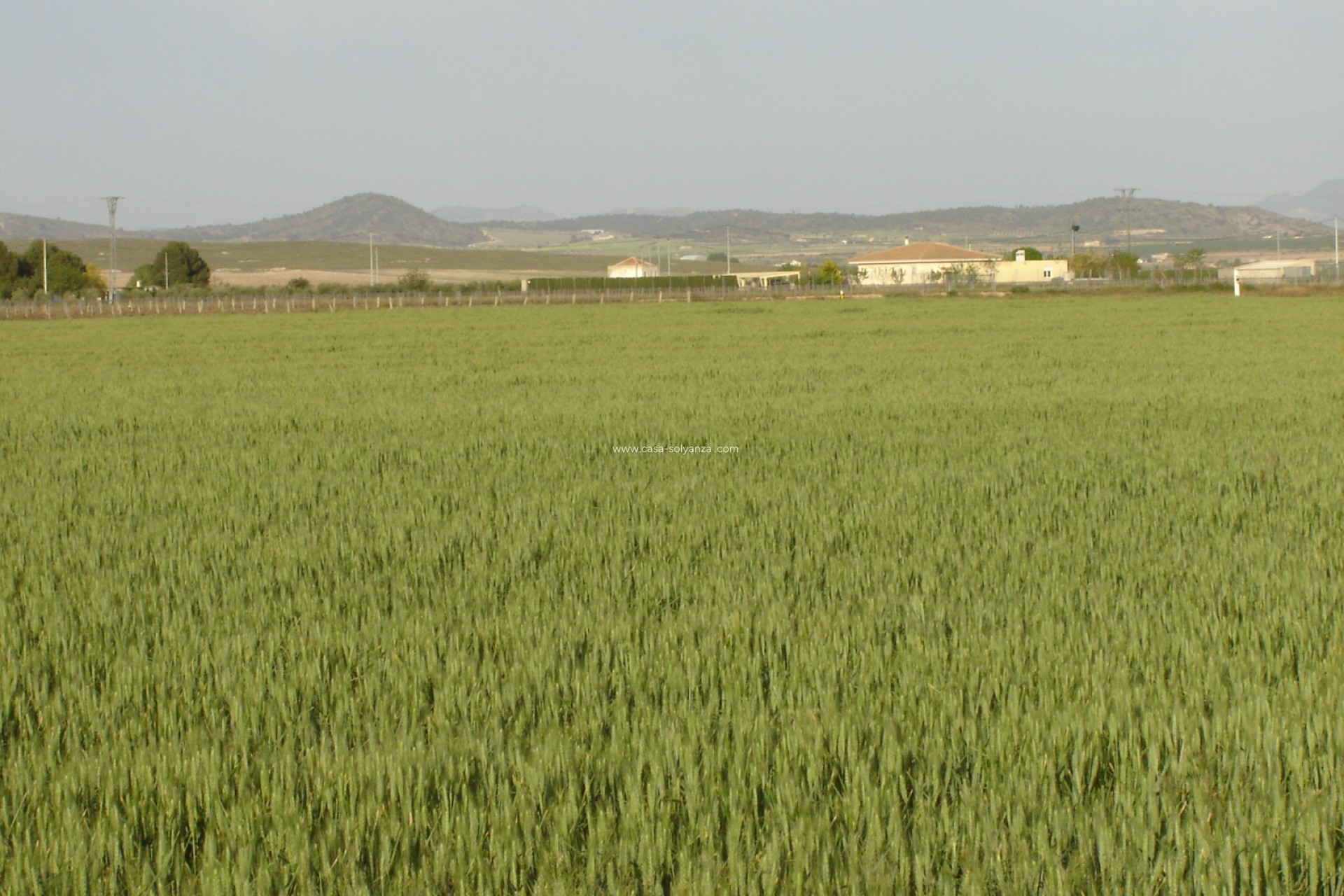 Wiederverkauf - Land - Yecla - Inland