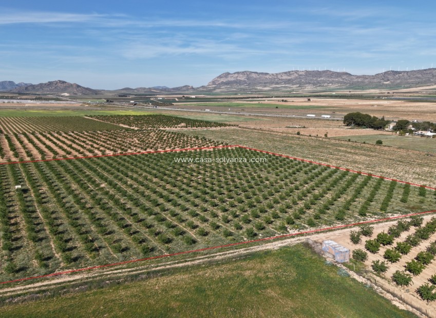 Wiederverkauf - Land - Yecla - Yecla Murcia