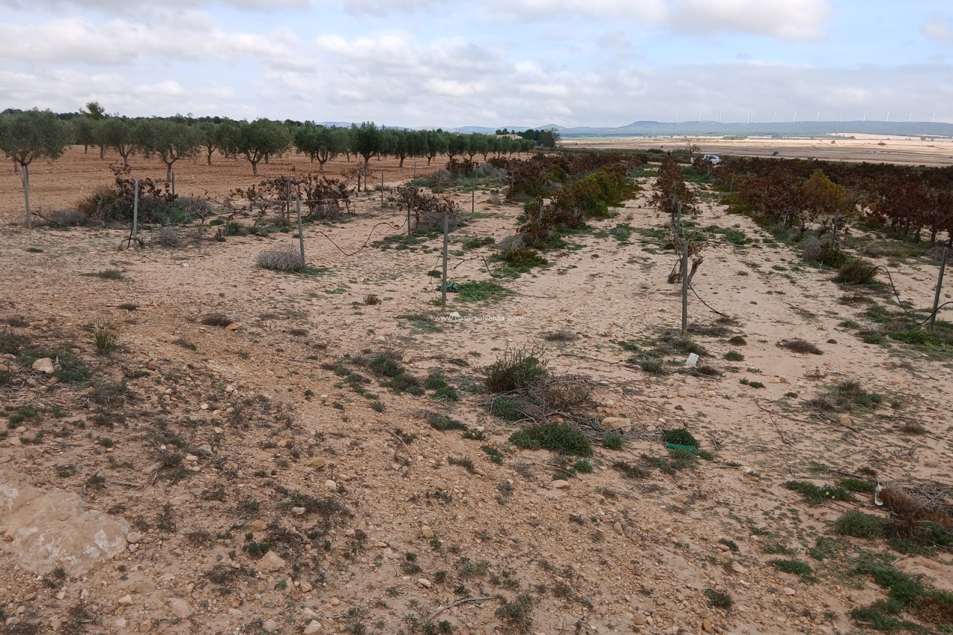 Wiederverkauf - Land - Yecla