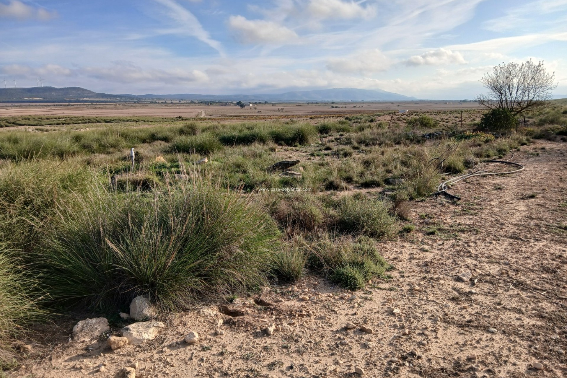 Wiederverkauf - Land - Yecla