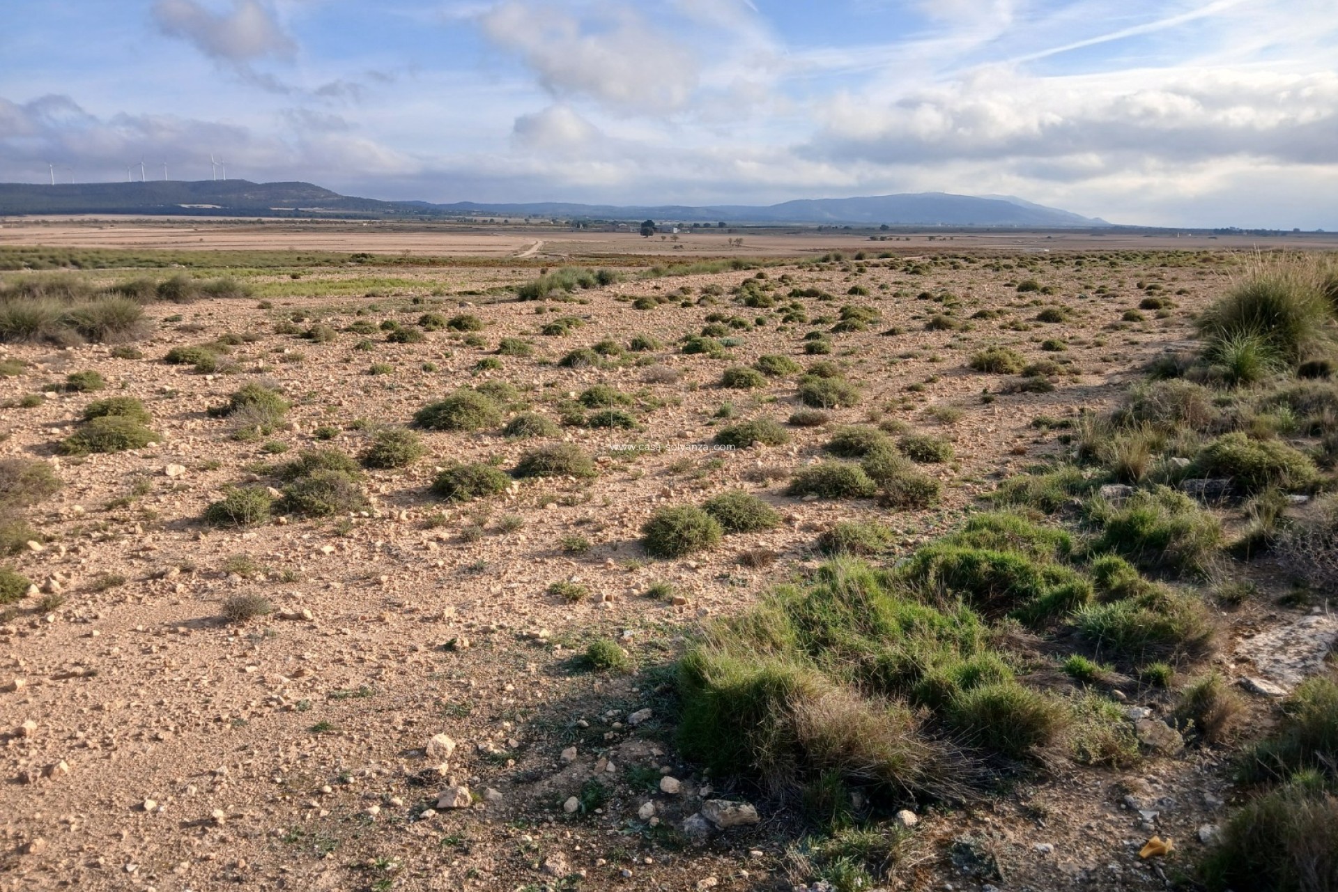 Wiederverkauf - Land - Yecla