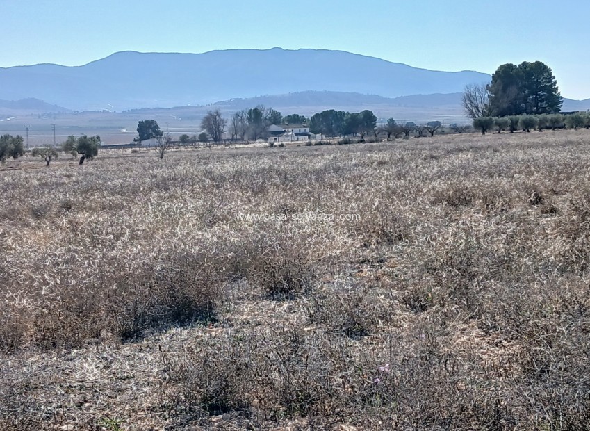 Wiederverkauf - Land - Yecla