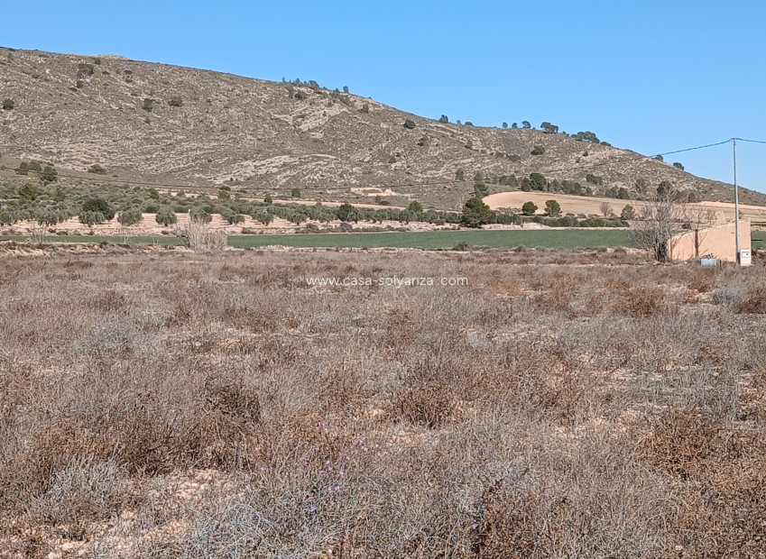 Wiederverkauf - Land - Yecla