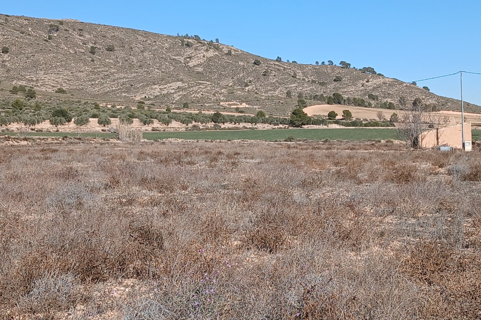 Wiederverkauf - Land - Yecla