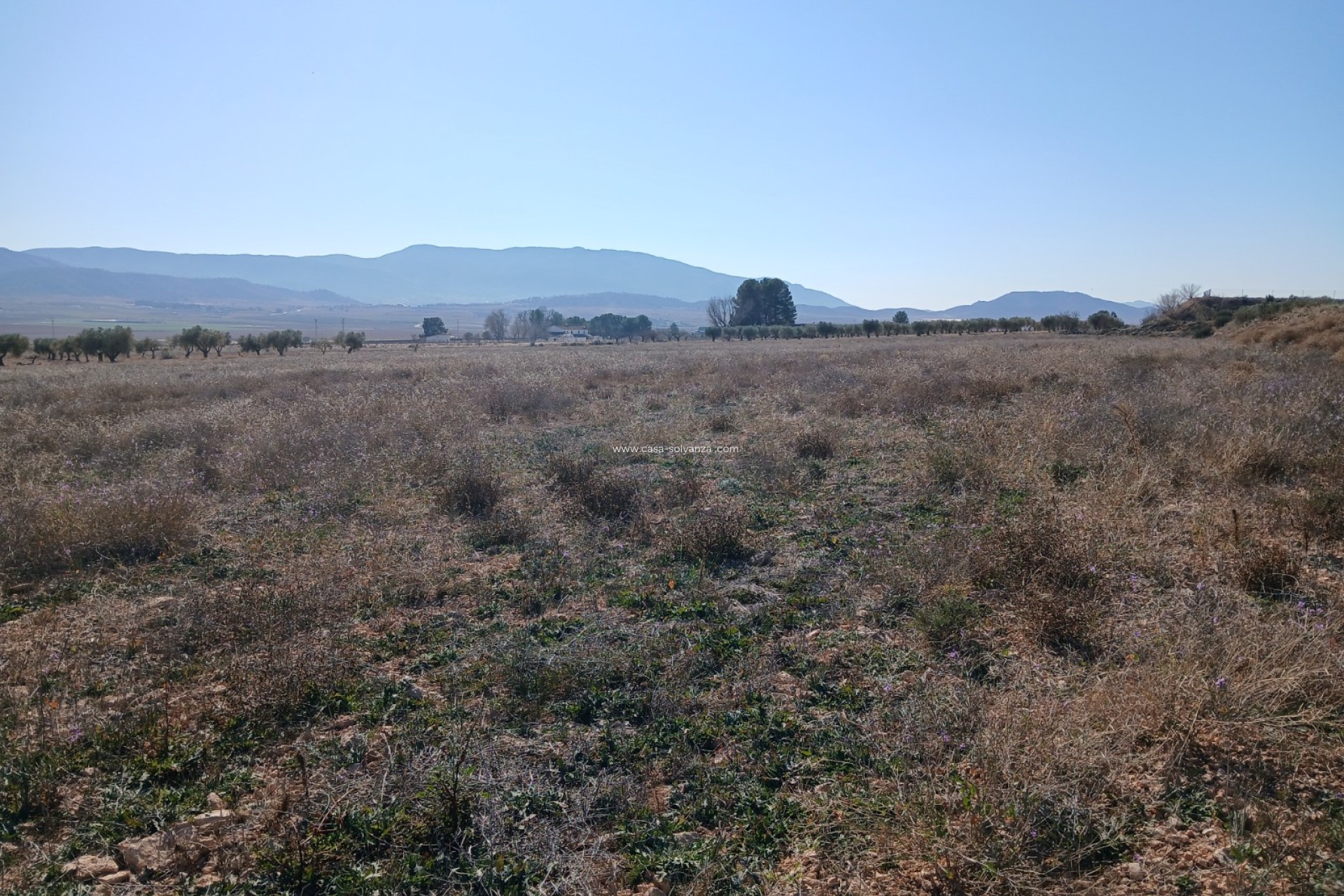 Wiederverkauf - Land - Yecla