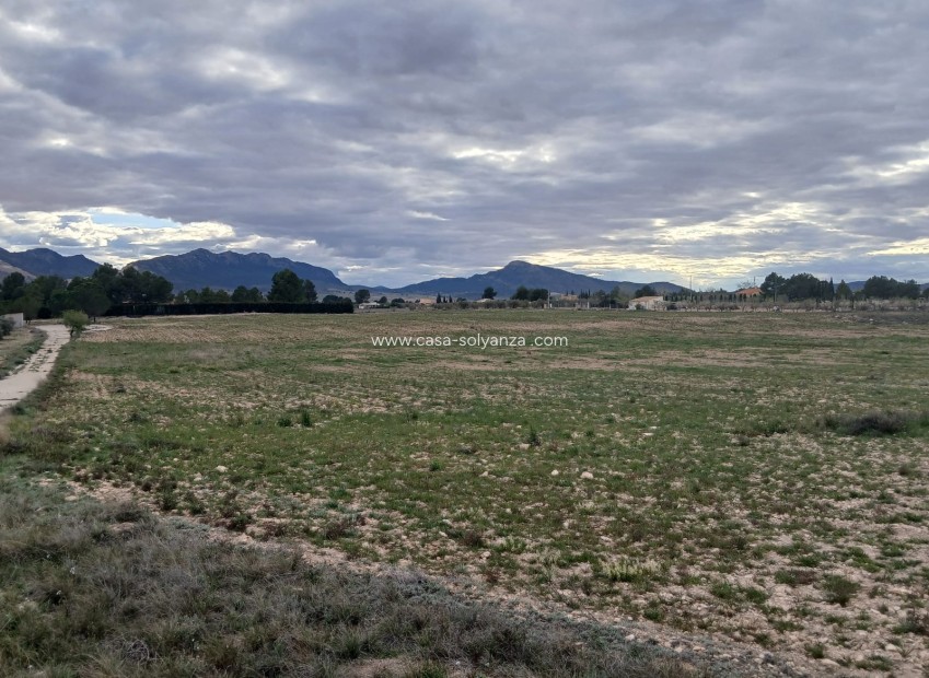 Wiederverkauf - Land - Yecla