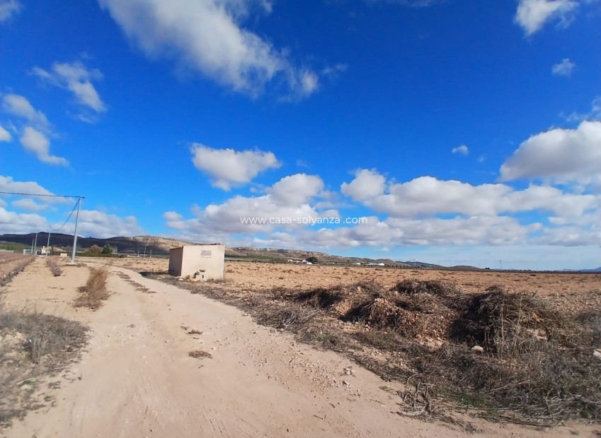 Wiederverkauf - Land - Yecla