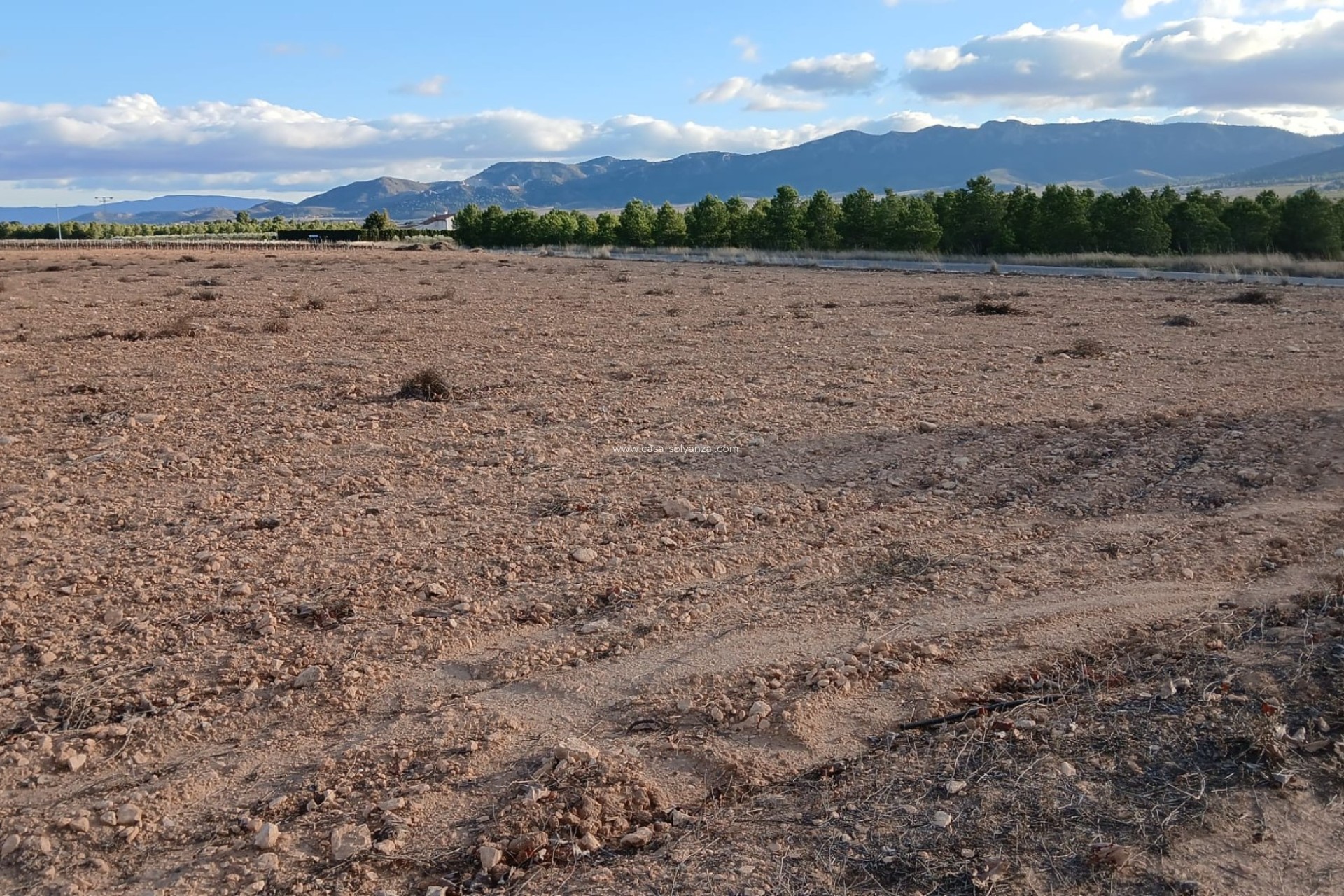 Wiederverkauf - Land - Yecla